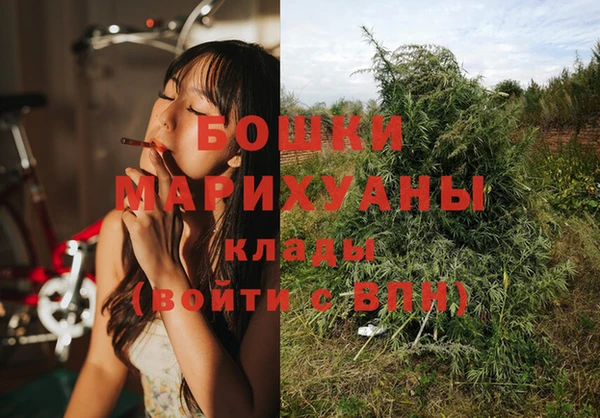 меф Арсеньев
