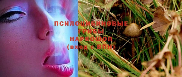 меф Арсеньев